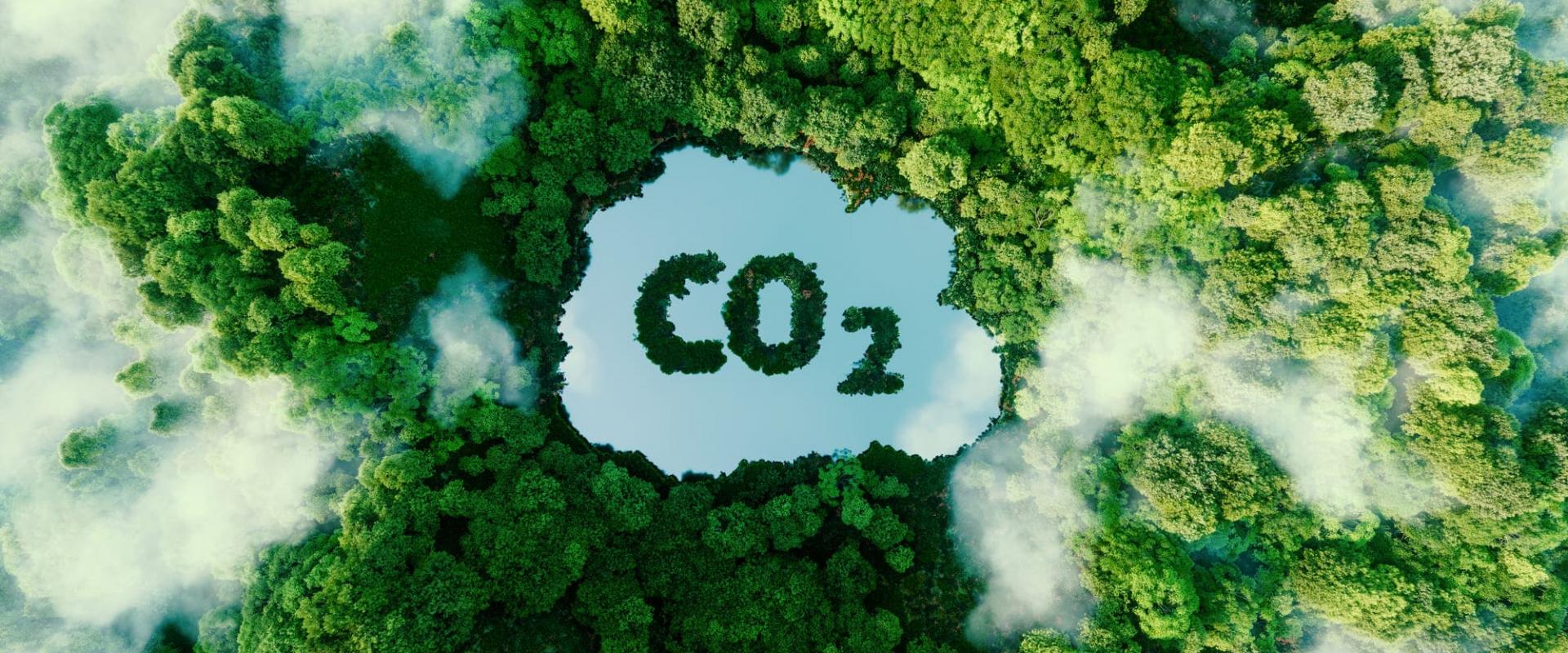 Edilizia in legno e decarbonizzazione: il futuro della sostenibilità: Immagine