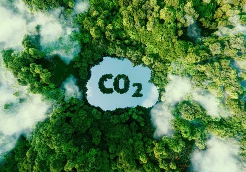 Edilizia in legno e decarbonizzazione: il futuro della sostenibilità: Immagine