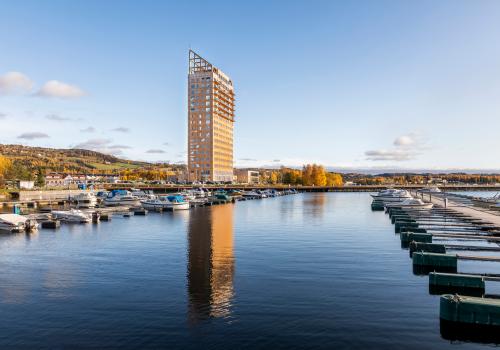 Gli edifici alti in legno e la città del futuro: Immagine