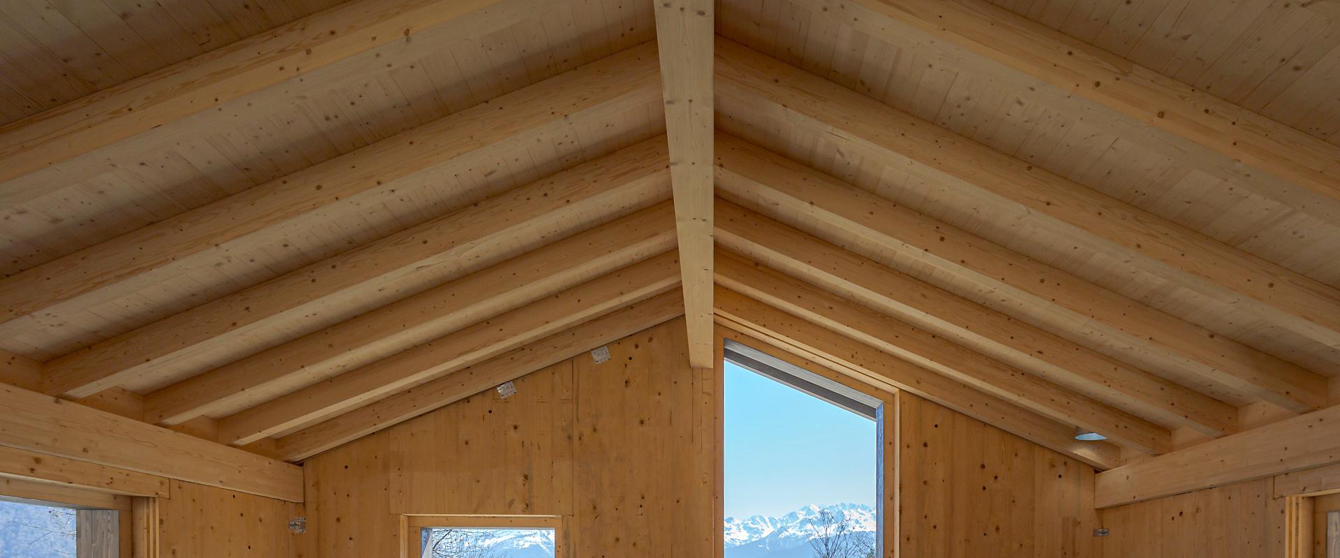 Abitazioni in legno: quando l’ecologia e la passione si uniscono: Immagine