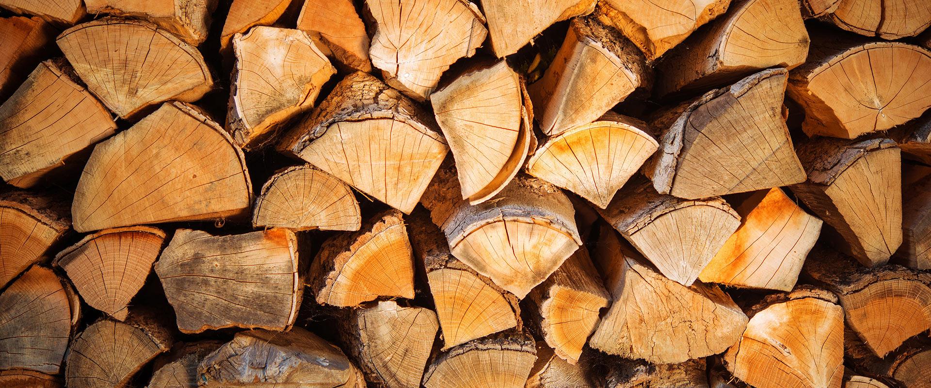 Faggio essiccato: la legna perfetta per i camini da Rainoldi Legnami: Immagine