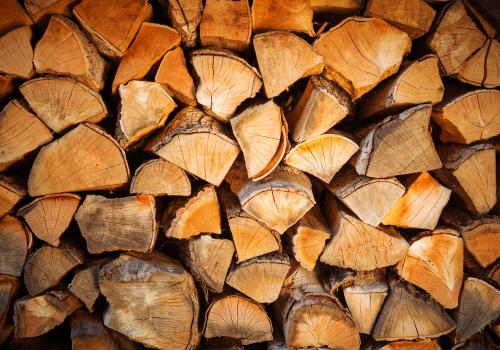 Faggio essiccato: la legna perfetta per i camini da Rainoldi Legnami: Immagine